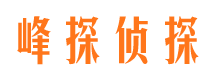 沙坡头市私家侦探公司